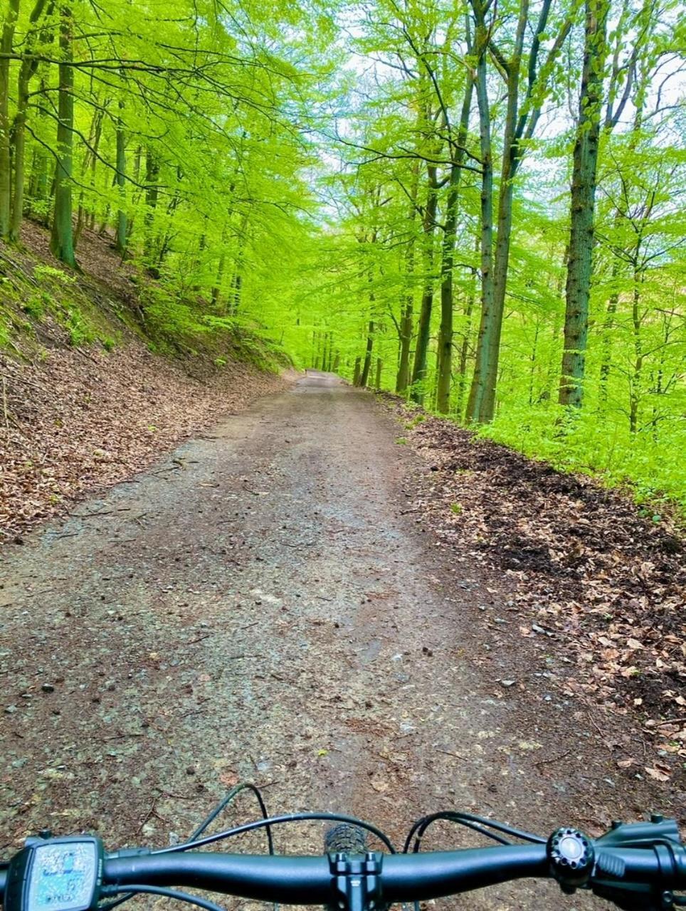Exklusiver Rueckzugsort Mit Sauna In Der Natur! Nachrodt-Wiblingwerde Kültér fotó
